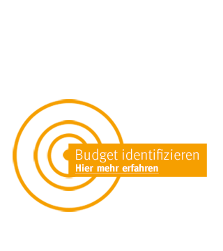 Budget identifizieren - Potenzialermittlung